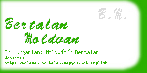 bertalan moldvan business card